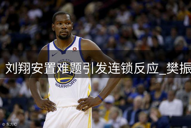 刘翔安置难题引发连锁反应 樊振东身份引争议