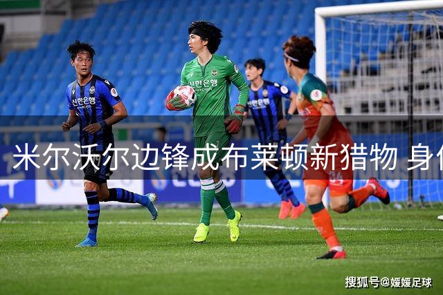 米尔沃尔边锋成布莱顿新猎物 身价两年暴涨20倍